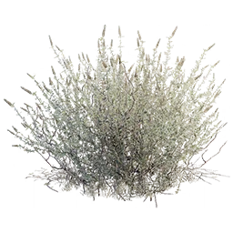 MMOJUGG Dune Awakening Plant Fiber * 500 Buying Page Display